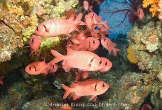 namimatsukasa240515-n.jpg