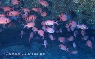 namimatsukasa240802-n.jpg