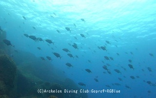 nanyoukaiwari241228.jpg