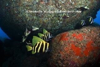 nazu190604-01.jpg