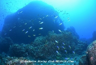 nazu190605-02.jpg
