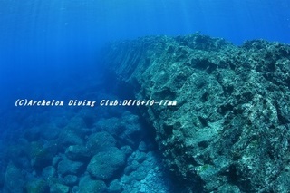 nazu190626-02.jpg