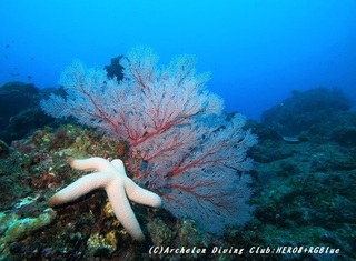 nazu200107.jpg