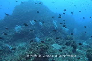 nazu250106-n.jpg
