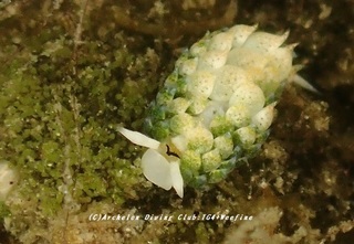 neonmo230811-k.jpg