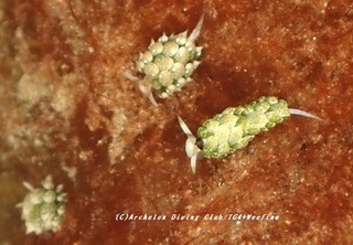 neonmo230815-k.jpg