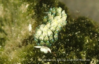 neonmo240422-k.jpg