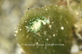 neonmo240509-y.jpg