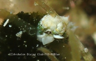 neonmo240711-so.jpg