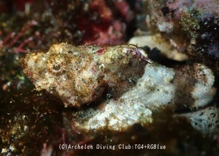 nirai241128-s.jpg