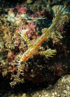 nishikihurai210101-yya.jpg