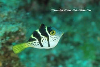 nokogiri200705-01.jpg