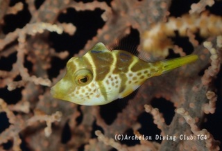 nokogiri241015-n.jpg