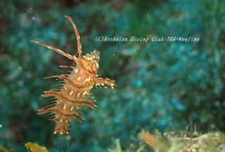 obitensu230921-yy.jpg
