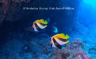 onihatatate241102-zo.jpg