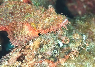 onikasago230828-n.jpg
