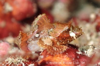onikasago240902-s.jpg