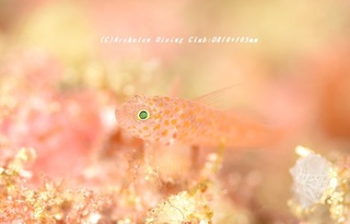 oome230829-n.jpg