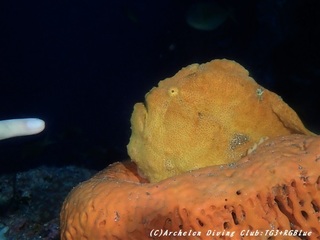 oomon191127-03.jpg