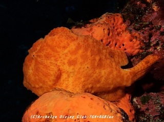 oomon200325-02.jpg