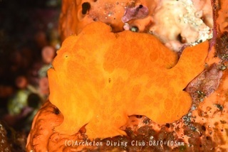 oomon231210-n.jpg