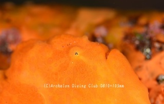 oomon231219-n.jpg
