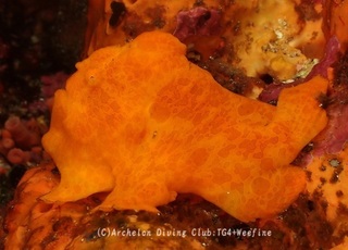 oomon231228-n.jpg