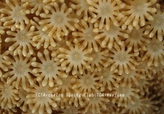 poripu230121-k.jpg