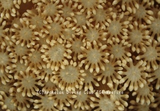 poripu240306-k.jpg