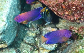 renten240524-n.jpg