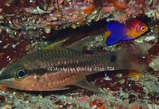 renten240830-s.jpg