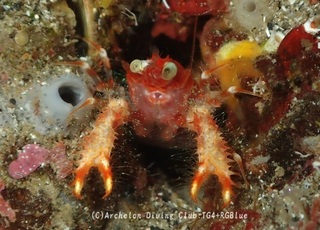 robokon240930-y.jpg