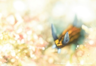 ryuuguu200930-01.jpg