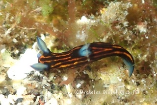 ryuuguu240910-s.jpg