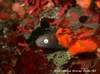sabi190904-01.jpg