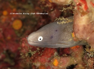 sabi201107.jpg