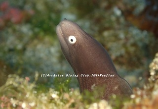 sabi230901-tare.jpg