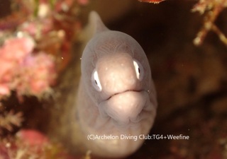sabi231011-y.jpg