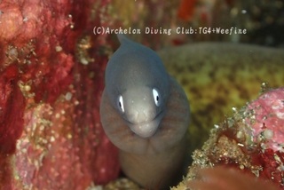 sabi231213-y.jpg