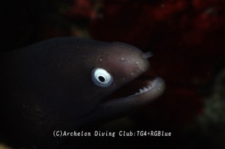sabi241002-k.jpg