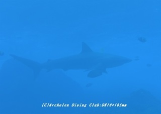 same190516-02.jpg