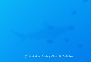 same231210-n.jpg