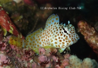 sedakaginpo240814-n.jpg
