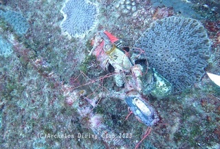 seisou231205-04reel.jpg