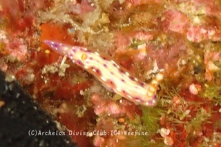 senten240312-s.jpg