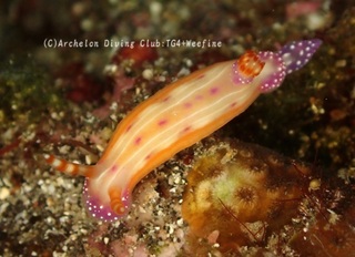 senten240604-y.jpg