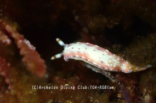 senten241023-yyy.jpg
