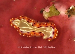 setoiro240603-n.jpg