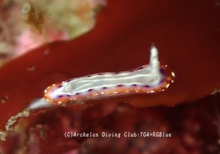 setoiro241226-s.jpg