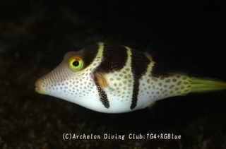 shimakin250109-k.jpg